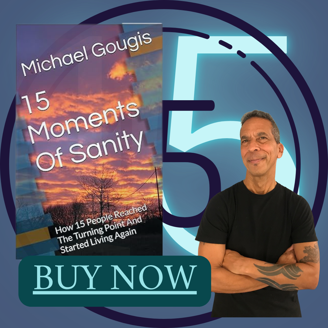 15 Moments of Sanity the book cover next to author Michael Gougis with "Buy Now" link on the bottom.
